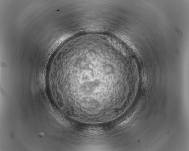 X0000090910487200708061525