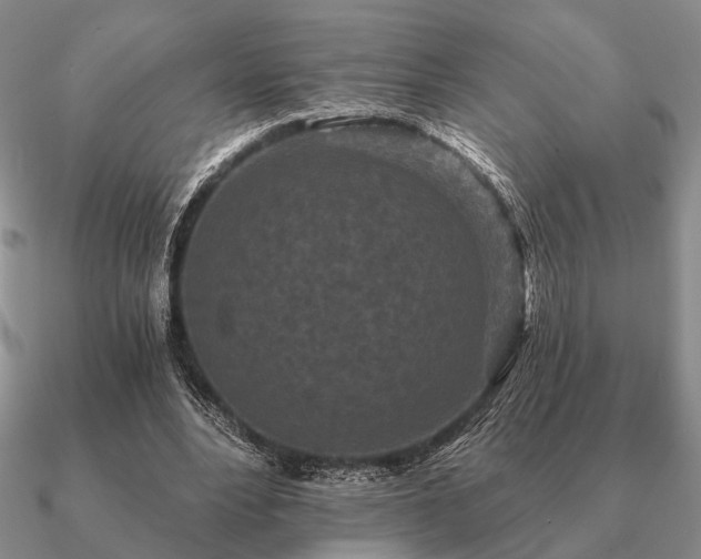 X0000090910488200708061525