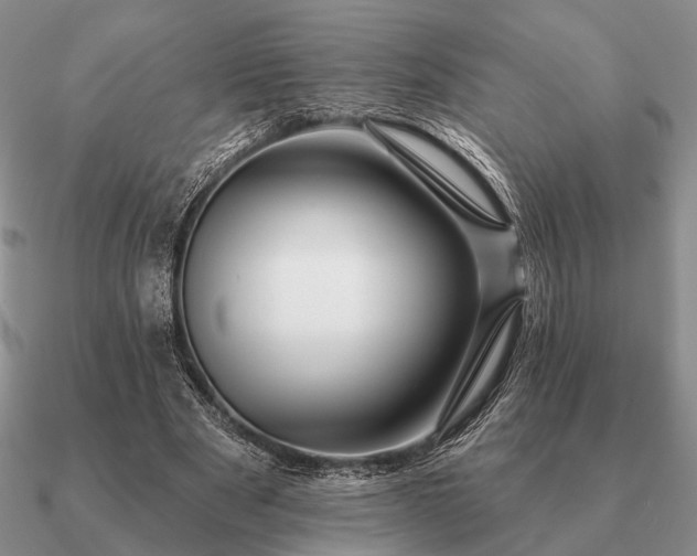 X0000090910489200708061525