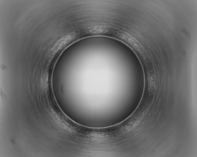 X0000090910490200708061525