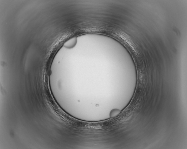 X0000090910491200708061525