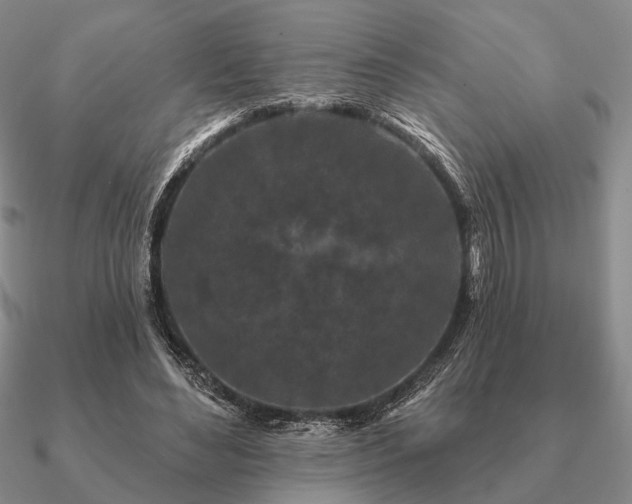 X0000090910492200708061525