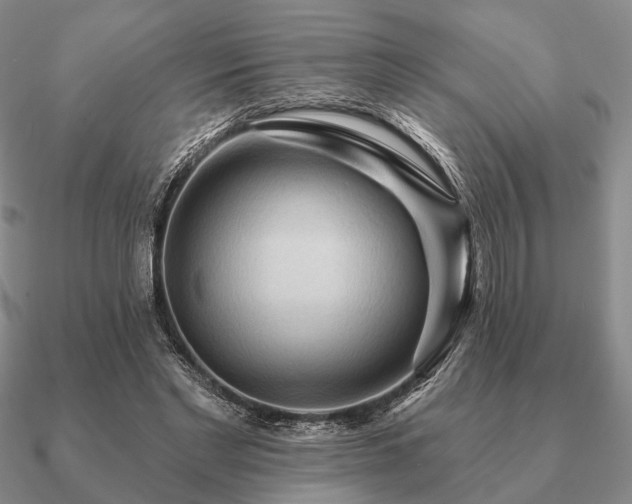 X0000090910493200708061525