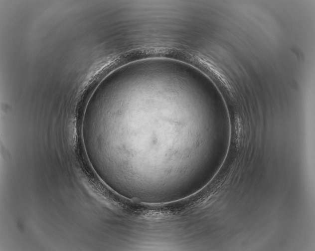 X0000090910494200708061525