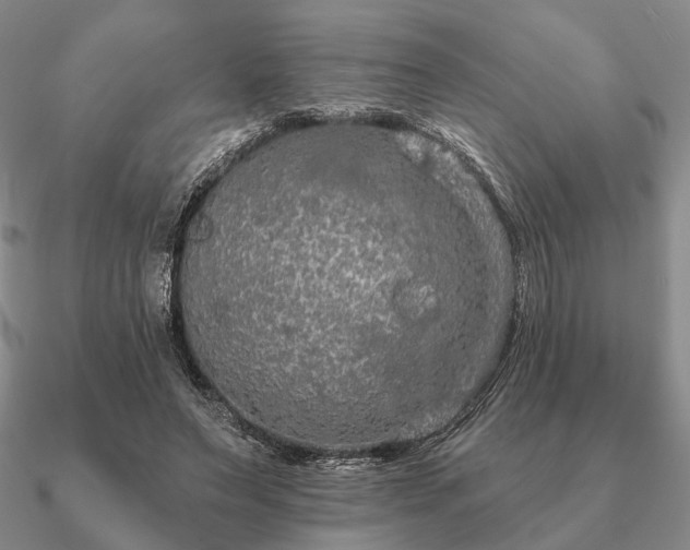 X0000090910495200708061525