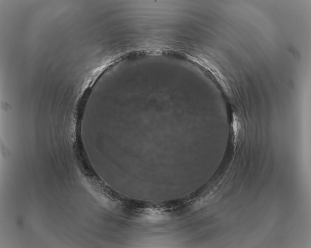 X0000090910496200708061525