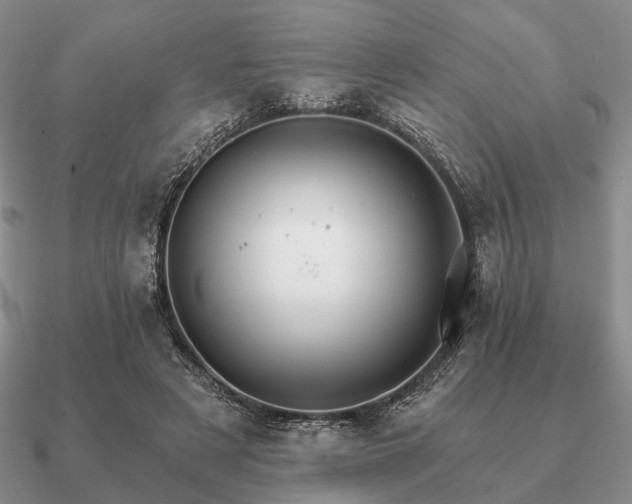 X0000090910497200708061525