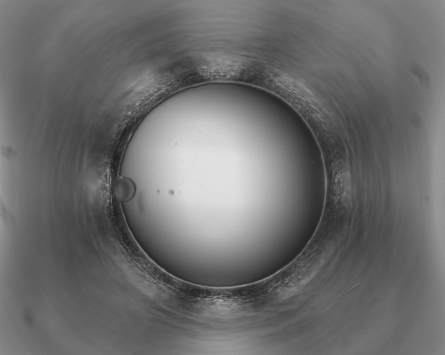 X0000090910498200708061525