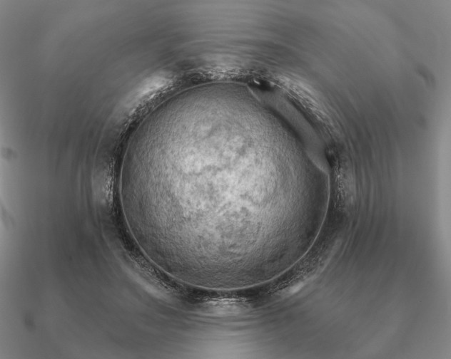 X0000090910499200708061525