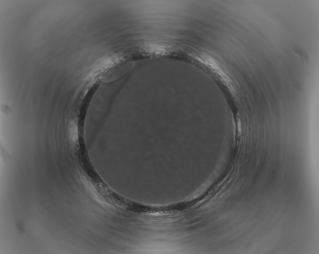 X0000090910500200708061525