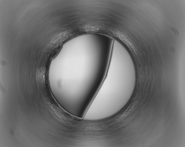 X0000090910501200708061525