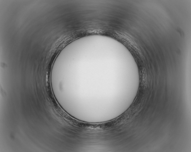 X0000090910502200708061525