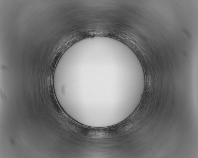 X0000090910503200708061525