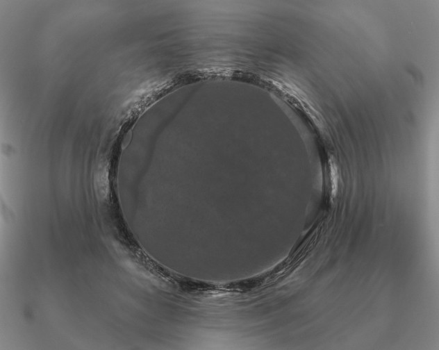 X0000090910504200708061525