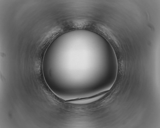 X0000090910505200708061525