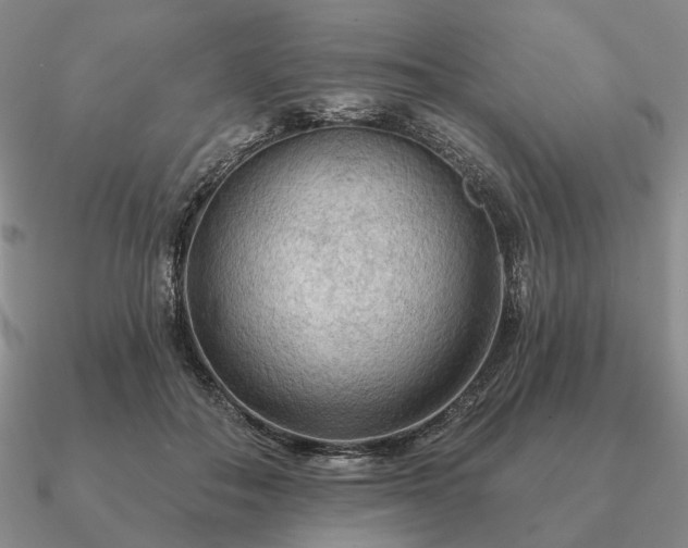 X0000090910506200708061525