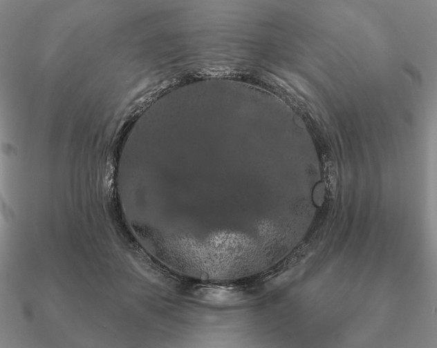 X0000090910507200708061525