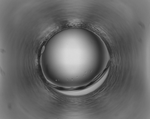 X0000090910508200708061525