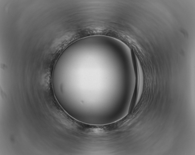 X0000090910509200708061525