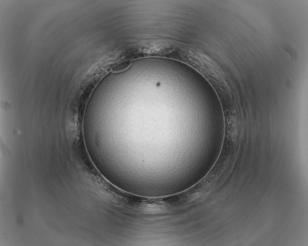 X0000090910510200708061525