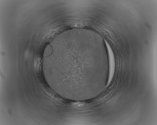 X0000090910511200708061525