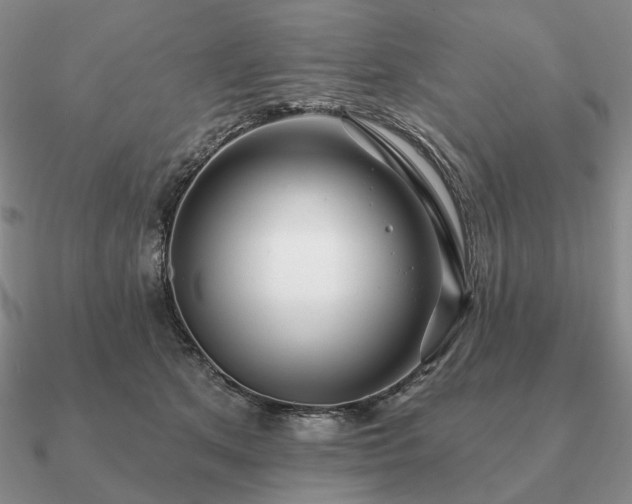 X0000090910513200708061525