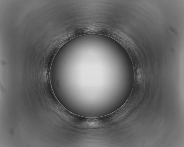 X0000090910514200708061525