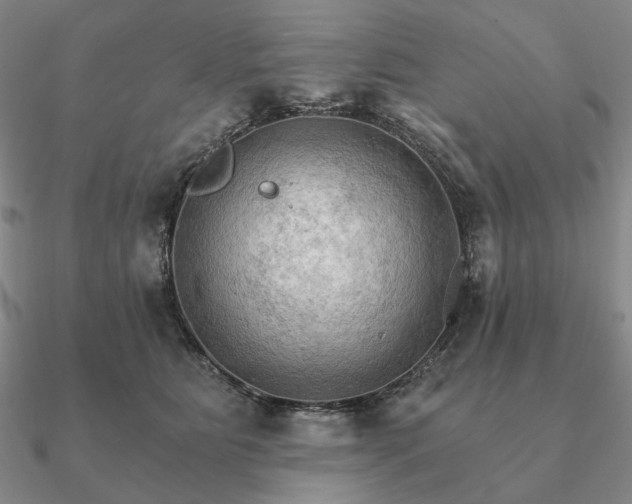 X0000090910515200708061525