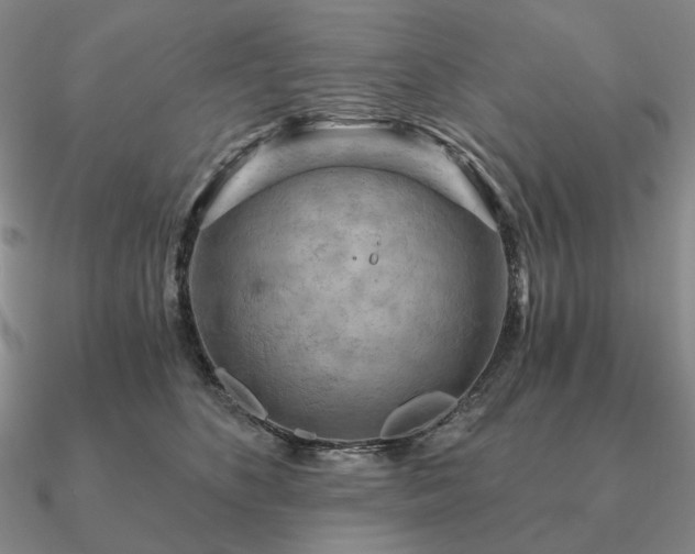 X0000090910516200708061525