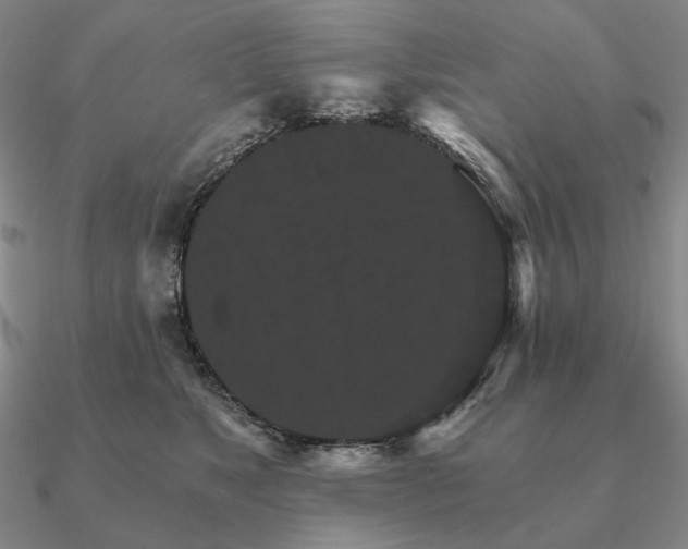 X0000090910517200708061525