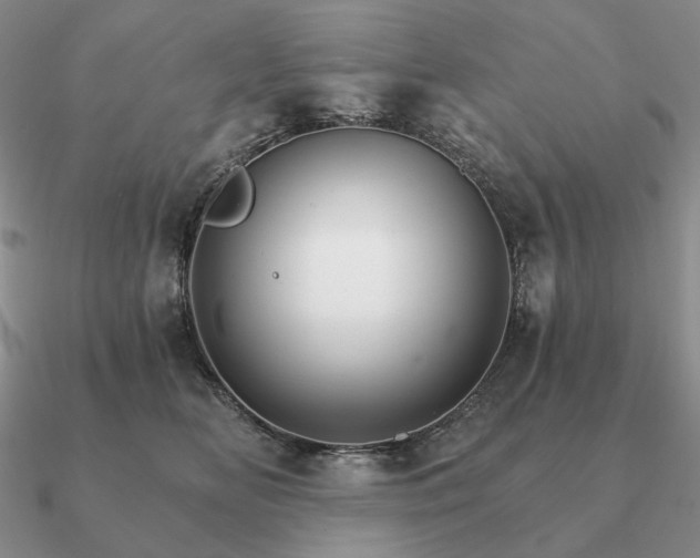 X0000090910518200708061525