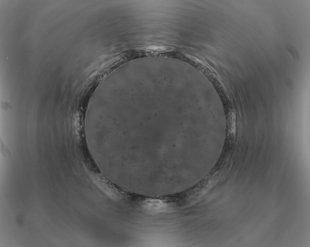 X0000090910519200708061525