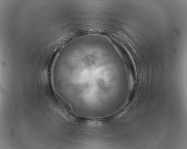 X0000090910520200708061525