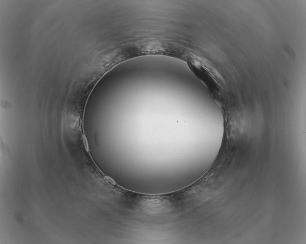 X0000090910521200708061525