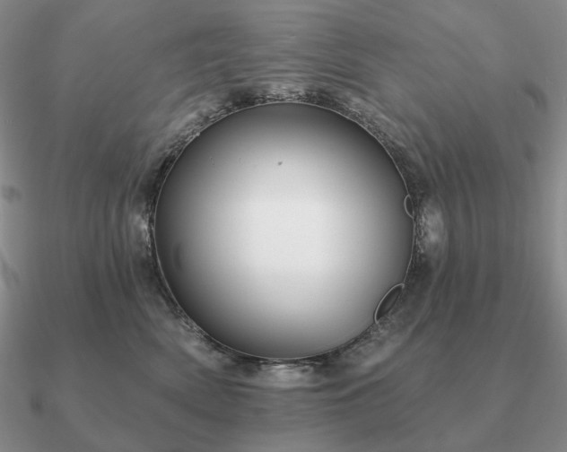 X0000090910522200708061525