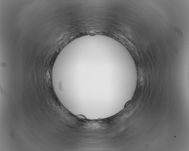 X0000090910523200708061525