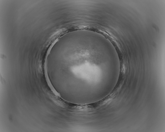 X0000090910524200708061525