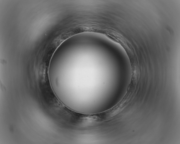 X0000090910525200708061525