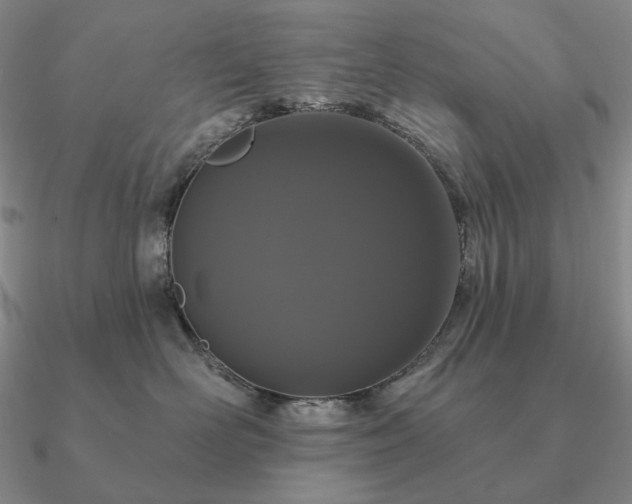 X0000090910526200708061525