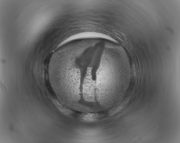 X0000090910527200708061525