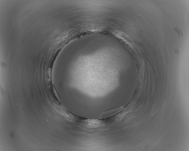 X0000090910528200708061525