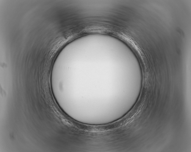 X0000090910529200708061524