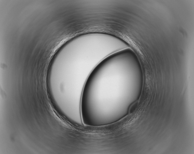 X0000090910530200708061524