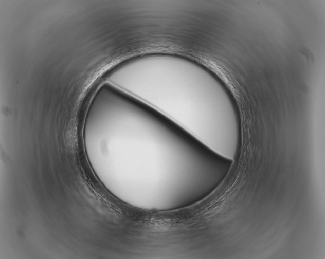 X0000090910531200708061524