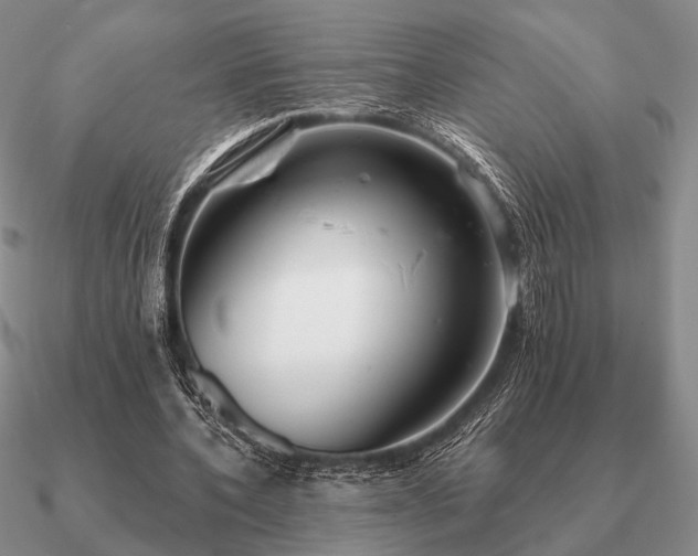 X0000090910532200708061524