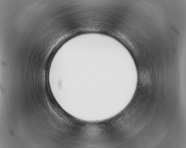 X0000090910534200708061524