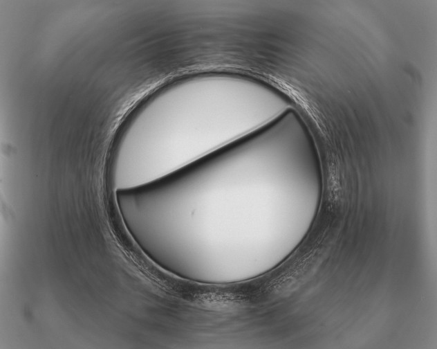 X0000090910535200708061524