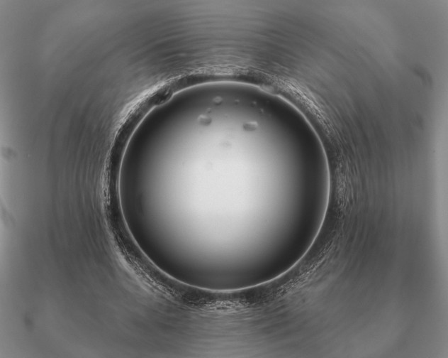 X0000090910536200708061524