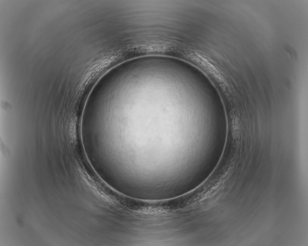 X0000090910537200708061524