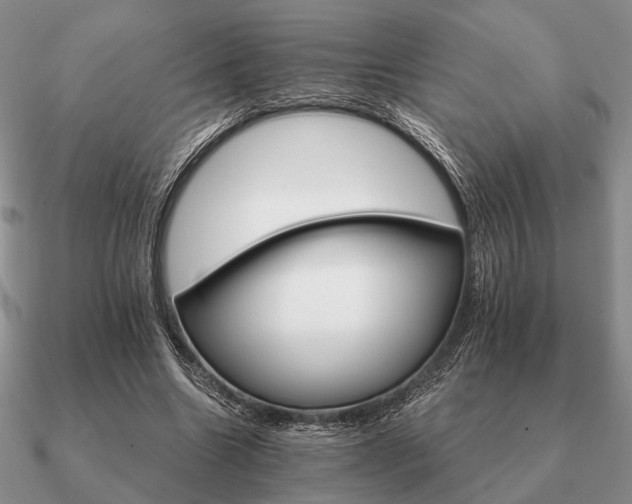 X0000090910538200708061524